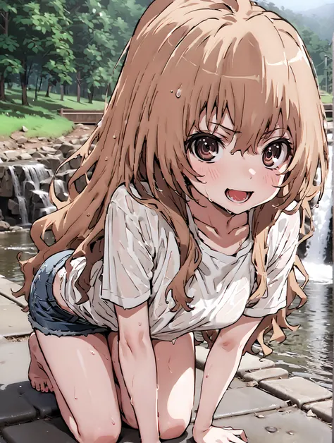 score_9, score_8_up, score_7_up, source_anime,
Taigaisaka, Aisaka Taiga,Alone, long hair, brown hair, brown eyes,ponytail,smile,open your mouth,plain black t-shirt,belly button sticking,Tie the hem of the shirt,denim micro shorts,Bare legs,wet skin,wet ha...