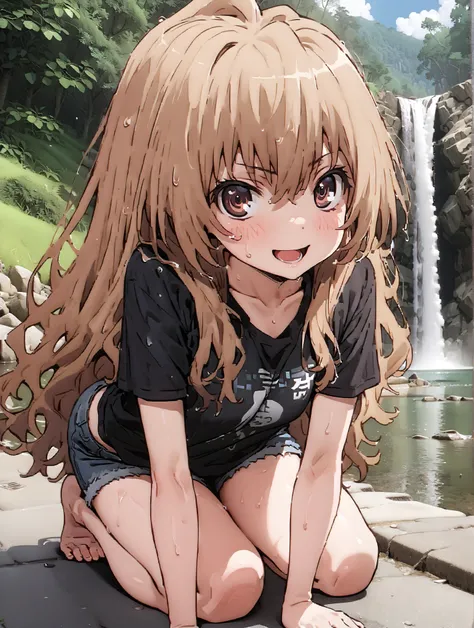 score_9, score_8_up, score_7_up, source_anime,
Taigaisaka, Aisaka Taiga,Alone, long hair, brown hair, brown eyes,ponytail,smile,open your mouth,Black T-shirt,belly button sticking,Tie the hem of the shirt,denim micro shorts,Bare legs,wet skin,wet hair, we...