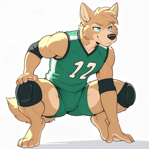 masterpiece, best quality, amazing quality, anthro golden retriever, light brown fur, wolf ears, male, solo, blue eyes, short hair, tall man, athletic, white background, muscular, thick arms, thighs, (wolf ears), muscly forearms, natural lighting, green vo...