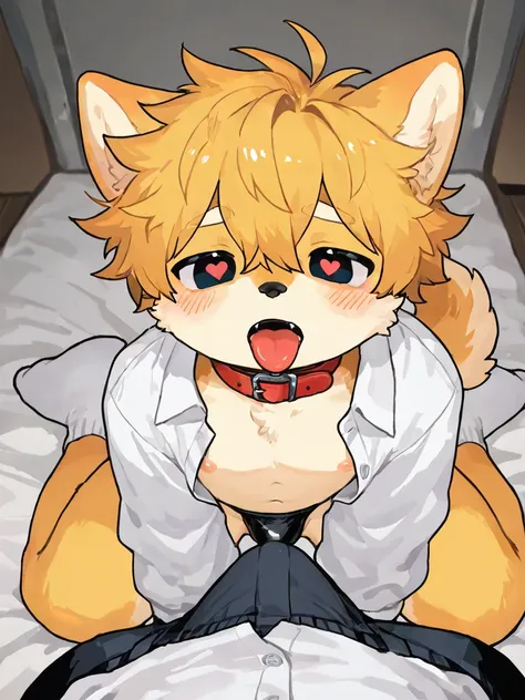  source_ furry， furry male，elementary school students，((boy  )),Dog boy    ,short hair,masterpiece, newest,absurdres, incredibly absurdres,  messy hair, cute anthro, alone,   kneeling,   double thong briefs, white collared shirt, open shirt,, open mouth, I...