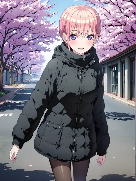 Nakano Ichika, short hair, bungs, blue eyes, Alone,Between the eyebrows, pink hair near MM, smile,blush,open your mouth, down coat,The front is empty,oversized turtleneck sweater,denim micro shorts,Black Pantyhose,Short Boots,walking,cherry blossoms,School...
