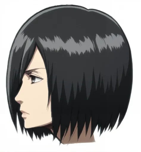 (((mikasa ackerman))), head, side view, detailed hair, dark gray eye, nose, nostrils, mouth, closed mouth, neck, high quality, neutral expression, relaxed face, (detailed body), ((Attack on Titan style)),