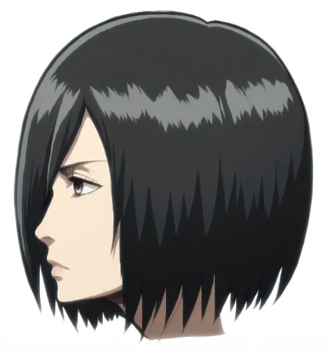 (((mikasa ackerman))), head, side view, detailed hair, dark gray eye, nose, nostril, mouth, mikasa ackerman mouth, neck, high quality, neutral expression, relaxed face, (detailed body), ((Attack on Titan style)),