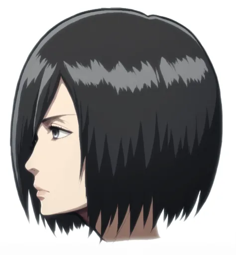(((mikasa ackerman))), head, side view, detailed hair, dark gray eye, nose, nostril, mouth, mikasa ackerman mouth, neck, high quality, neutral expression, relaxed face, (detailed body), ((Attack on Titan style)),