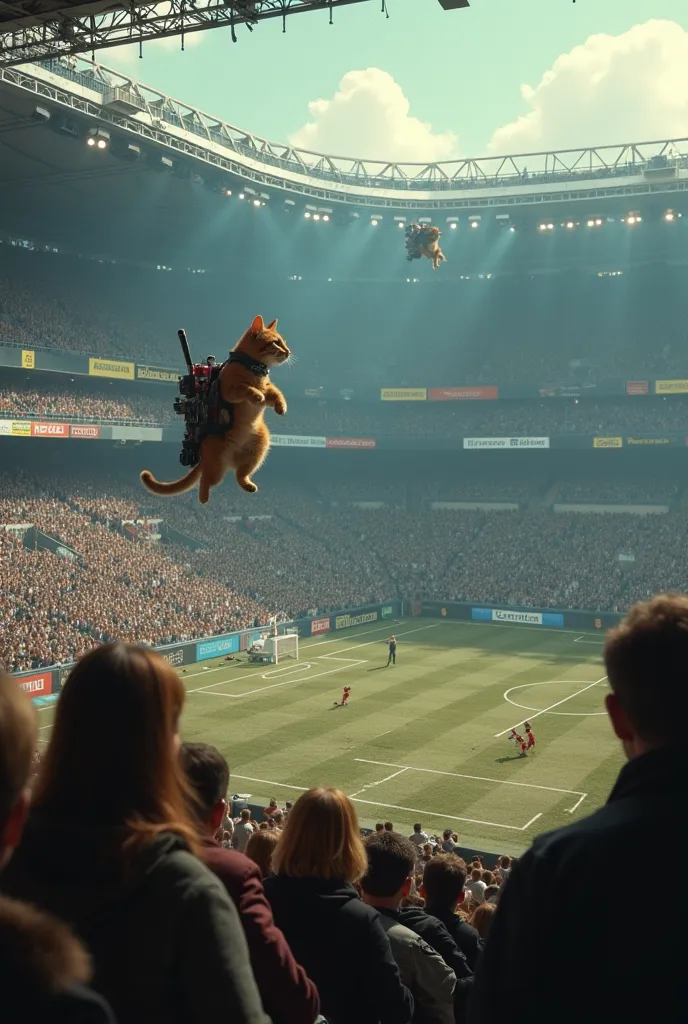 In real cinematographic image it creates a stadium full of enthusiastic and insane people in the stands. and below he places on the playing field a system of pipes and ramps for cats and many cats in them competing and fighting against small dogs in a goth...