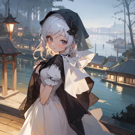 (absurdres, extremely detailed CG:1.1),(cute girl), [Upper body, Happy, Despair:0.8], (dress, veil, stole), Lakeside, village,  Night view, mysterious