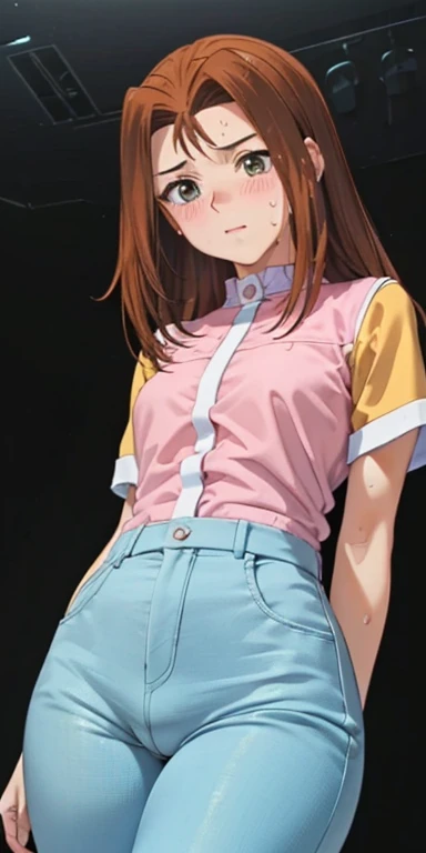   1 female,High Definition,high resolution,   Ultra-realistic   ,8K,serenidaddm  ,   gray eyes, long hair, brown hair,     pink shirt  , blue pants,European,sexy,close up of the upper body, Photographed from the front ,  Dynamic Angles  ,blush, small , pre...