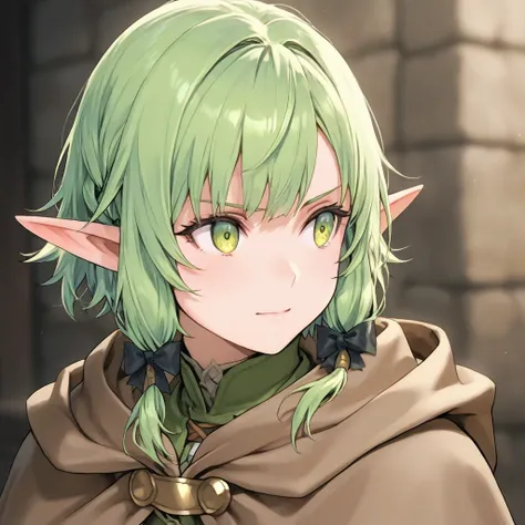 High Elf Archer - Goblin Slayer -　Illustrious v1.0
