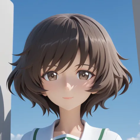 SFW, 8k, 3d , render in 3d, Masterpiece, very aesthetic, elegant mature woman, Akiyama Yukari (girl und panzer), blue sky background, anime clouds, looking at viewer, formal photo shot posture, white oarai school uniform, front view, upper body shot, face ...