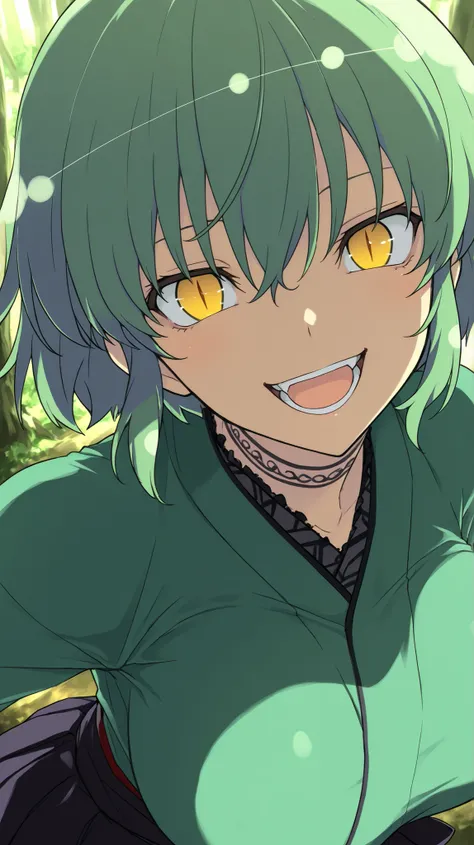 hikage,senran kagura
High quality ,  best quality , masterpiece,  High Resolution , detailed face( LoRA: hikage),anatomically correct, detailed hair Style( LoRA: hikage),anime Coloring
solo, 1 girl,cool woman
, green hair, Medium short hair, bob cut ,slit ...