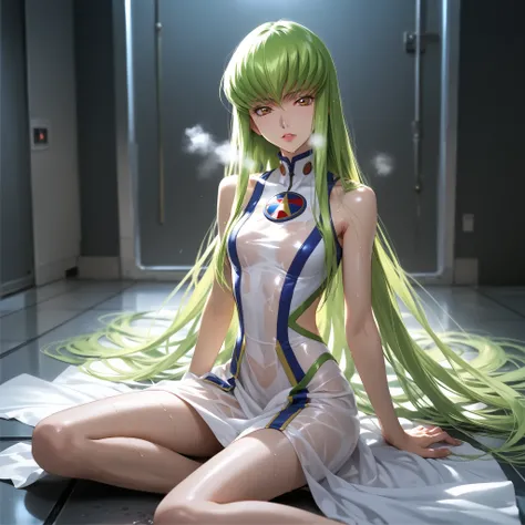 nsfw、photorealistic、REAL HUMAN SKIN、sCore_9, sCore_8_up, sCore_7_up, sourCe_anime, break ((C.C. Code Geass]))   long green hair ,heavy breathing, all men, slender body,  woman sitting on floor , Cover Yourself ,masterpieCe, Best Quality, Amazing Picture Qu...