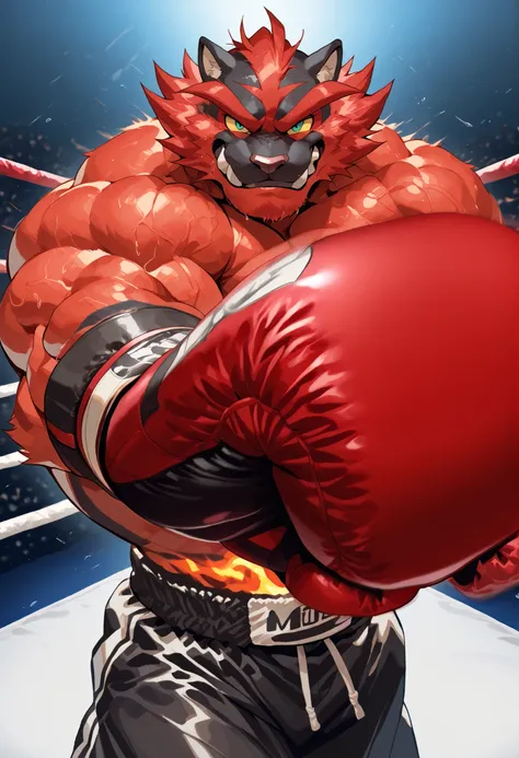 zPDXL3, pov_boxing, mercilessly punching_the_viewer, foreshortening, motion blur, black boxing gloves, black boxing trunks, depth of field, extreme perspective, closeup, action shot, boxing, dynamic punching pose, motion lines, impact lines, mercilessly p...