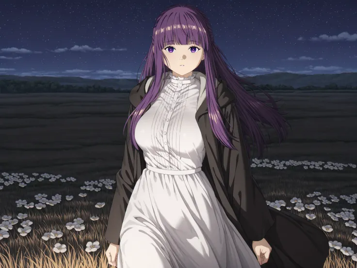 solo, female focus, 1 girl - Fern from Frieren, ong hair, bangs, purple eyes, purple hair, sidelocks, blunt bangs, bright pupils, half updo, large breasts, anime screencap
long sleeves, dress, white dress, long dress, robe, black robe, night sky, night tim...