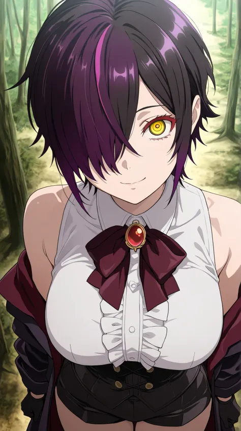 nihiro ,ishura
High quality ,  best quality , masterpiece,  High Resolution , anatomically correct,anime Coloring
Detailed hair color(LoRA:nihilo), Detaile Hairstyle(LoRA:nihilo) ,screencap
1girl,solo, Cool woman, adult
, black hair, purple hair, streaked ...