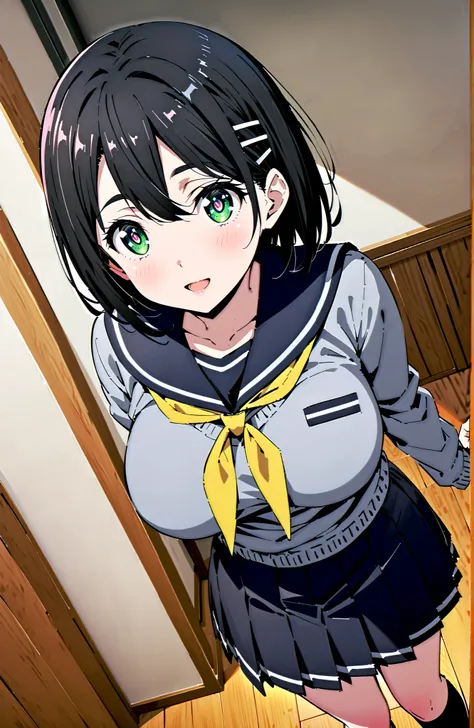 score_9, score_8_up, score_7_up, source_anime, Kirigaya Naoha , short hair, black hair, hair ornament, hair clip, green eyes,smile,blush,and open the mouth,Big Breasts,
school uniform, skirt for ears, pleated skirt for ears, sailor collar, black skirt for ...