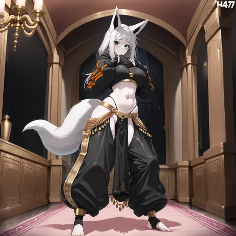  1girl, solo, fox ears, fox tail, silver hair, long hair, beautiful face, green eyes, pale skin, oppai, navel, baggy sweatshirt, (fitness thong, pelvic curtain:1.3), (black large pants, oversized pants, belly dance harem pants, h4r3mp4n75, long to the heel...