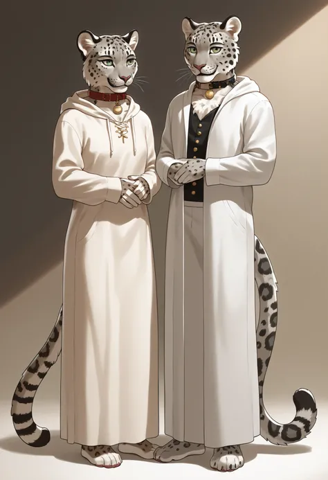  General Description : The character is an anthropomorphic figure (furry), with characteristics of a big feline - more specifically, seems to be based on a snow leopard (or snow jaguar), recognizable by the dark marks and the dense, whitish coat. Physical ...