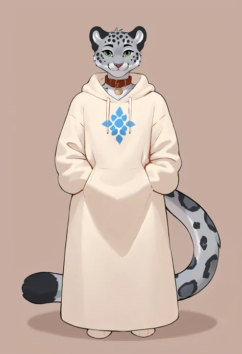  General Description : The character is an anthropomorphic figure (furry), with characteristics of a big feline - more specifically, seems to be based on a snow leopard (or snow jaguar), recognizable by the dark marks and the dense, whitish coat. Physical ...