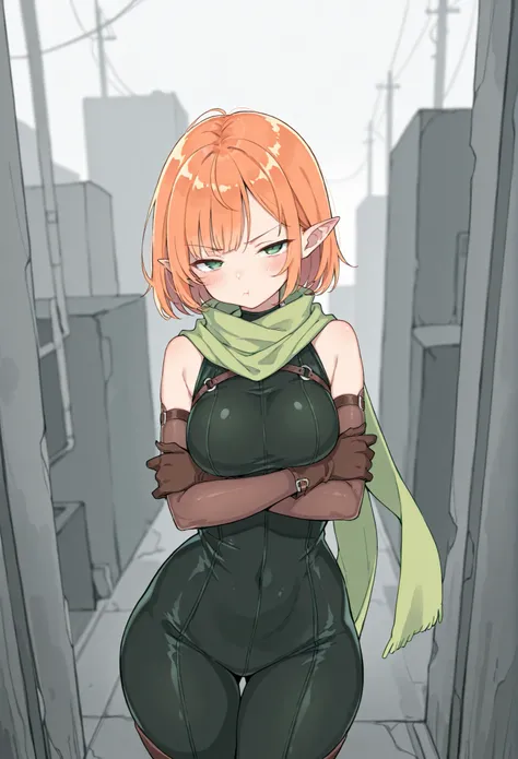 (masterpiece, best quality, ultra high quality:1.1), artist, very awa, {prompt}, masterpiece, best quality, recent, newest, absurdres, highres, dynamic angle, curvy, original, 1girl, solo, annoyed, narrow_eyes, pointy_ears, orange_hair, short_hair, alterna...
