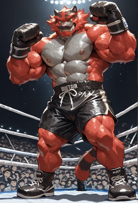 4K, masterpiece quality, pov_boxing, Looking down on the losers with brutal triumph, black boxing shoes, black boxing gloves, black boxing trunks with red side lines, full body, depth of field, boxing, dynamic pose, fist pump pose, boxing ring background a...