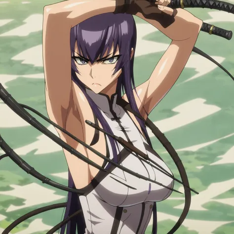 score_9, score_8_up, score_7_up,anime_source, source_anime, best background, detailed background, anime screencap, 4k, upscaled,  Saeko Busujima, main outfit, solo, looking at viewer, weapon, armpits, arms up, whip, whip sword, long hair, purple hair, bang...