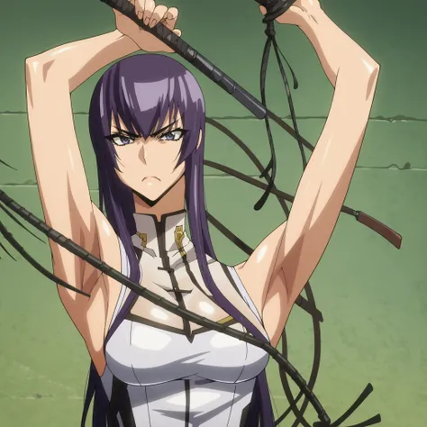 score_9, score_8_up, score_7_up,anime_source, source_anime, best background, detailed background, anime screencap, 4k, upscaled,  Saeko Busujima, main outfit, solo, looking at viewer, weapon, armpits, arms up, whip, whip sword, long hair, purple hair, bang...