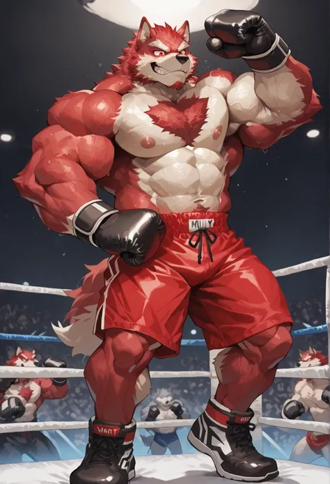 4K, masterpiece quality, pov_boxing, Looking down on the losers, black boxing shoes, black boxing gloves, red boxing trunks with black side lines, full body, depth of field, boxing, proudly pose, hands on hips and one arm raised pose, boxing ring backgroun...
