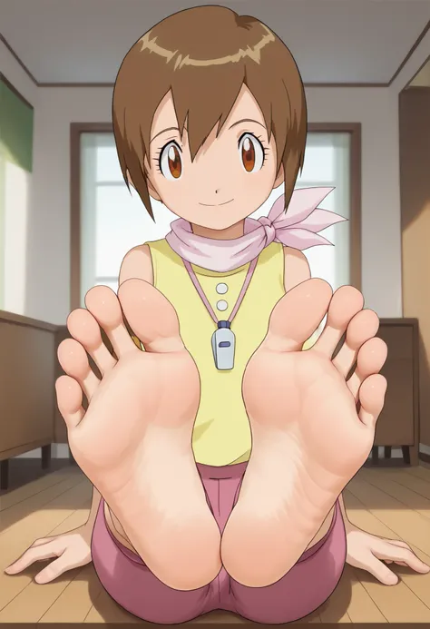 score_9 , score_8_up , score_7_up , source_anime , prefect lighting , very aesthetic , intricate details , highly detailed background , high quality , prefect hands , best quality , digimon , digimon aventure , hikari yagami , brown hair , short hair , bro...