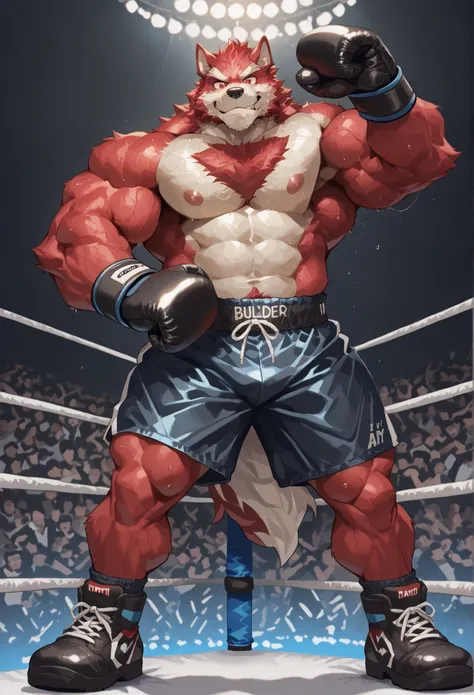 4K, masterpiece quality, pov_boxing, Looking down on the losers, black boxing shoes, dark navy boxing gloves, navy black boxing shorts with gold side lines, full body, depth of field, boxing, proudly pose, hands on hips and one arm raised pose, boxing ring...
