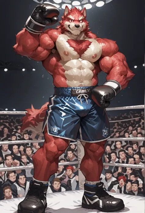 4K, masterpiece quality, pov_boxing, Looking down on the losers, black boxing shoes, dark navy boxing gloves, navy black boxing shorts with gold side lines, bulge, full body, depth of field, boxing, proudly pose, hands on hips and one arm raised pose, boxi...