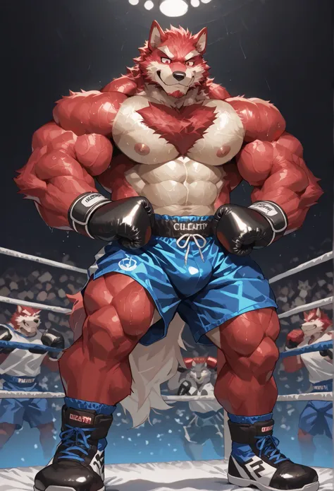 4K, masterpiece quality, pov_boxing, Looking down on the losers, black boxing shoes, dark navy boxing gloves, navy black boxing shorts with gold side lines, bulge, full body, depth of field, boxing, proudly pose, hands on hips and one arm raised pose, boxi...