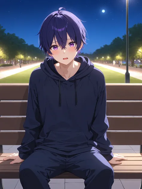 masterpiece, Highest Quality, complicated details, high resolution,
1 man,
medium hair, dark blue hair, purple eyes,
black hoodie, jersey pants,
park bench, night, surprised faces, blush,Erected Crotch,