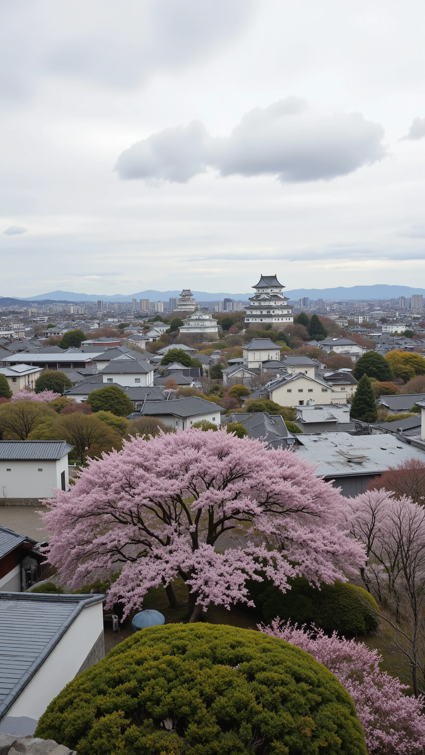 high res images、( Japanese Castle)Ninomaru and Sannomaru on large grounds、cherry tree々や花のPhotos of Himeji Castle in Hyogo Prefecture、picturesque cityscape background、Digital Images 、A high-resolution white shining castle、 Dreamy Castle 、Highly detailed ...
