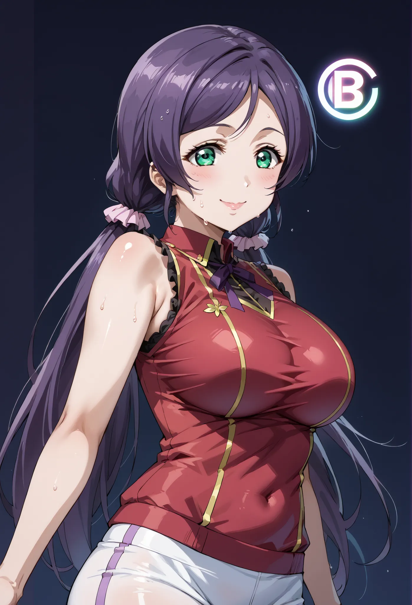 score_9, score_8_up, score_7_up, source_anime, 4K,perfect fingers,(perfect hands, perfect anatomy),prefect lighting, very aesthetic, intricate details,highly detailed background, masterpiece, high quality, best quality,
nozomi toujou, green eyes, purple ha...