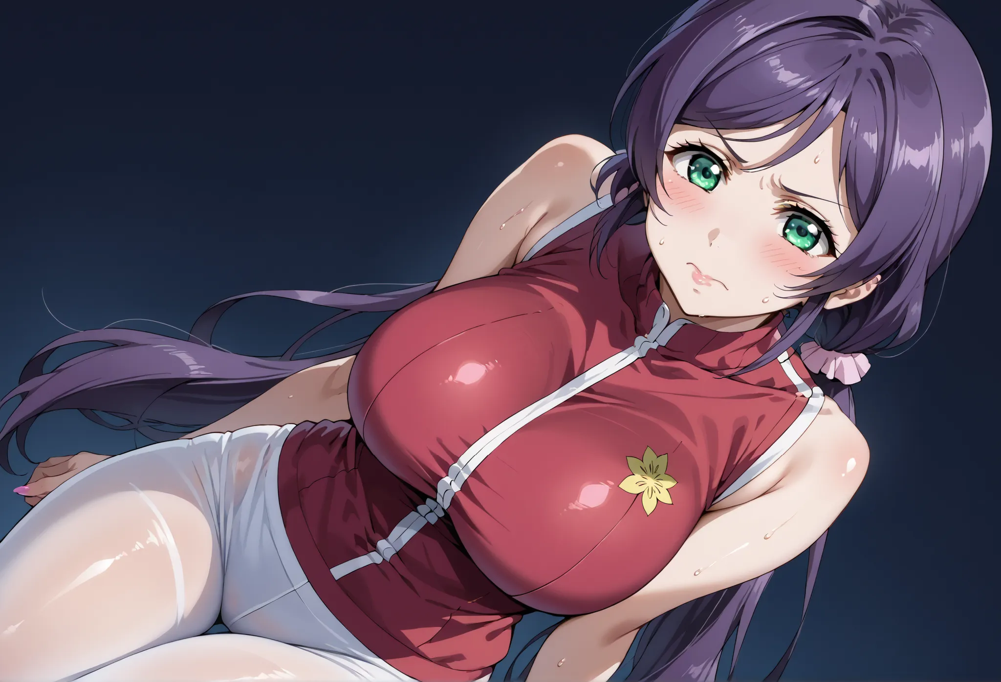 score_9, score_8_up, score_7_up, source_anime, 4K,perfect fingers,(perfect hands, perfect anatomy),prefect lighting, very aesthetic, intricate details,highly detailed background, masterpiece, high quality, best quality,
nozomi toujou, green eyes, purple ha...