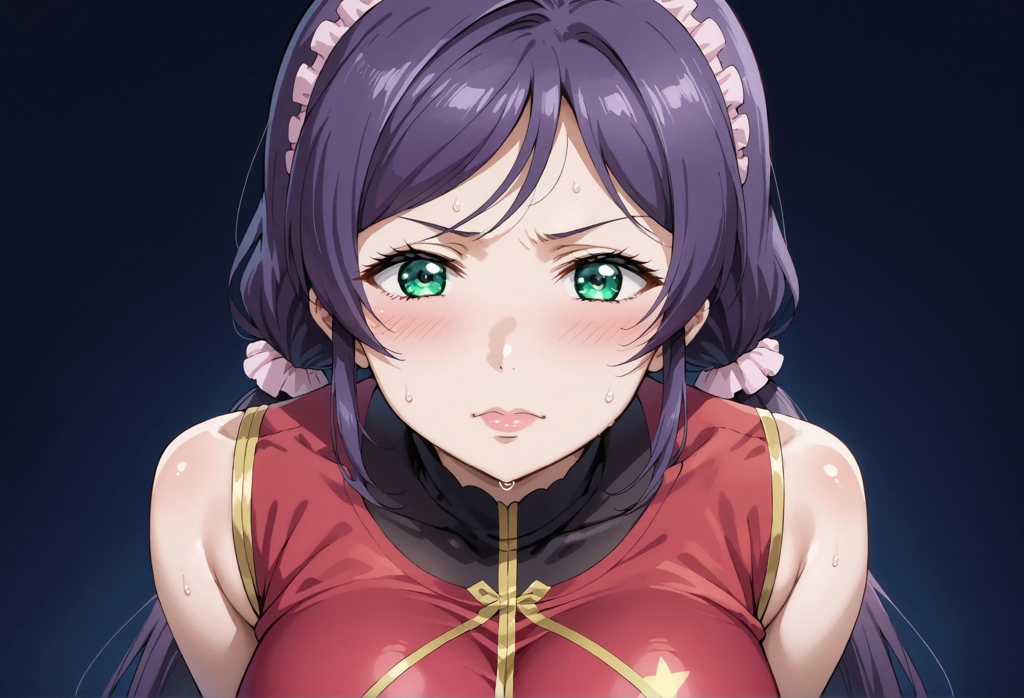 score_9, score_8_up, score_7_up, source_anime, 4K,perfect fingers,(perfect hands, perfect anatomy),prefect lighting, very aesthetic, intricate details,highly detailed background, masterpiece, high quality, best quality,
nozomi toujou, green eyes, purple ha...