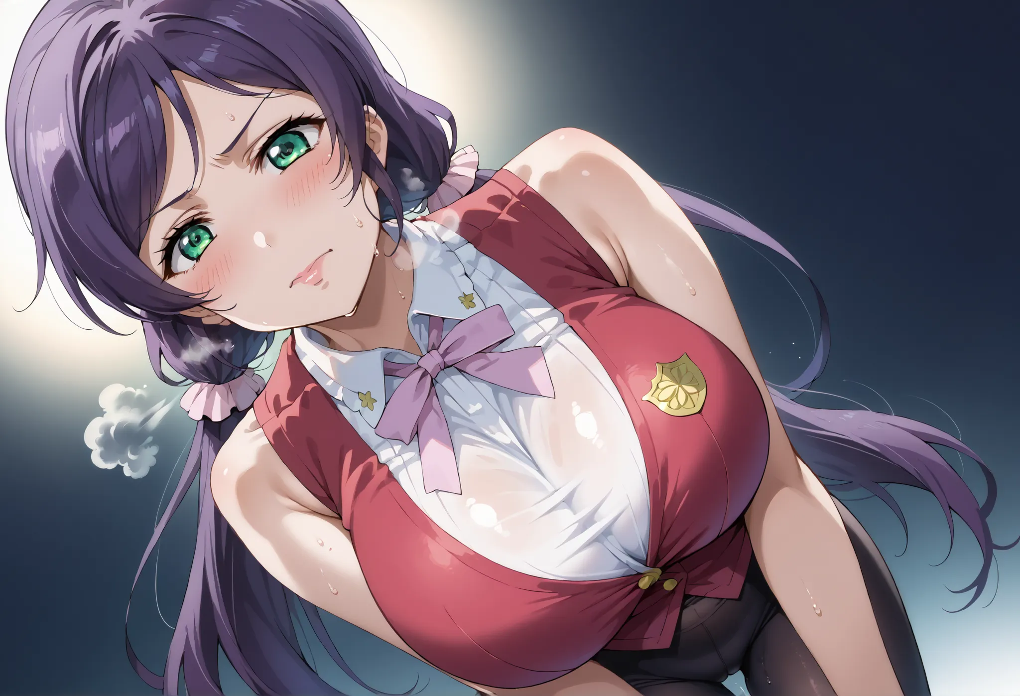 score_9, score_8_up, score_7_up, source_anime, 4K,perfect fingers,(perfect hands, perfect anatomy),prefect lighting, very aesthetic, intricate details,highly detailed background, masterpiece, high quality, best quality,
nozomi toujou, green eyes, purple ha...