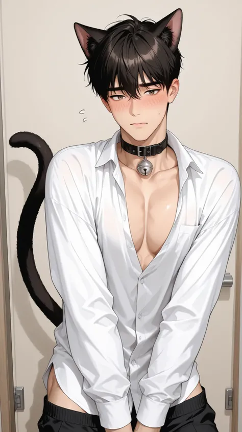 1 boy, cat ears, manhwa style, A beautiful and cute collar with a bell, cute, the tail in the frame, embarrassed face, A little bit undressed