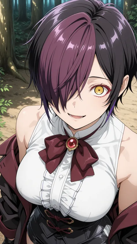 nihiro ,ishura
High quality ,  best quality , masterpiece,  High Resolution , anatomically correct,anime Coloring
Detailed hair color(LoRA:nihilo), Detaile Hairstyle(LoRA:nihilo) ,screencap
1girl,solo, Cool woman, adult
, black hair, purple hair, streaked ...