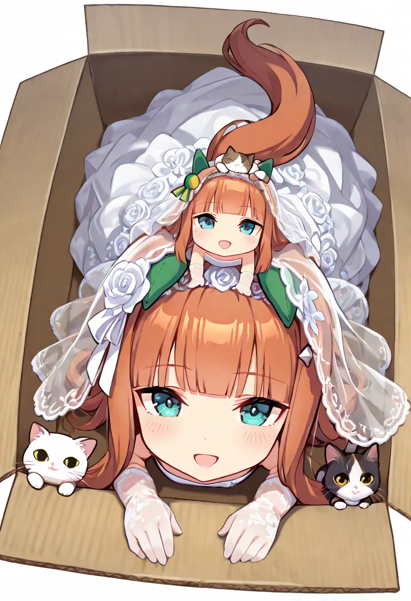 【Mystery Box】花嫁ウマ娘が届きました