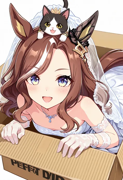 (((chibi))), (masterpiece, best quality, perfect face:1.4), wide angle, daring_heart \(umamusume\), horse ears, ear ornament, horse tail, tail on the lower back, proportional body, proportional,1 girl, beautiful hair, beautiful face, beautiful detailed eye...
