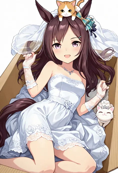 (((chibi))), (masterpiece, best quality, perfect face:1.4), wide angle, mejiro dober \(umamusume\), 1girl, floating hair, horse ears, horse tail, tail on the lower back, proportional body, proportional, beautiful hair, beautiful face, beautiful detailed ey...