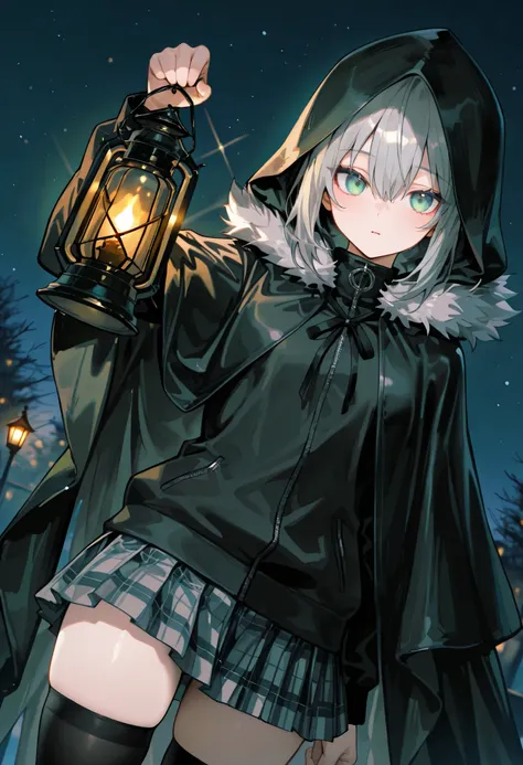 masterpiece,perfect anatomy,high resolution, ultra-detailed,beautiful detailed eyes,dutch angle,absurdres,gray, grey hair, green eyes, hair between eyes, double-parted bangs,
black jacket, black cloak, hood up, sidelocks, black ribbon, black thighhighs, fu...