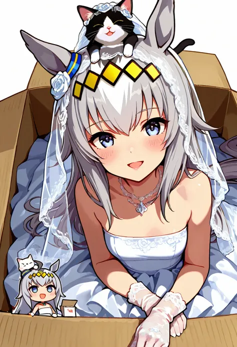  (((chibi))), (masterpiece, best quality, perfect face:1.4), wide angle, oguri cap \(umamusume\), 1girl, blue eyes, multicolored hair, long hair, grey hair, ahoge, hair ornament, horse ears, horse tail, tail on the lower back, proportional body, proportion...