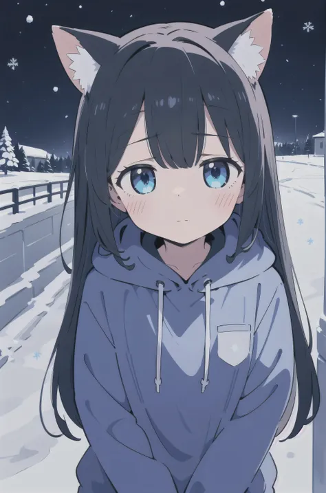 black hair, girl, snow fox, white fur, blue eyes, solo, gloves , night, hoodie, blue hair, long hair
Masterpiece , bemused, hair is messy, Light and shadow, Sad but not showing emotion