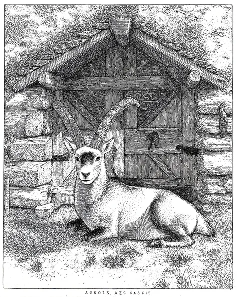 score_9, score_8_haut, score_7_haut, score_6_haut, score_5_haut, score_4_haut, digital art ,
CASSER
(masterpiece: 1.0), best quality, anatomie parfaite, proportion parfaite, composition parfaite, perfection, 4k resolution, very aesthetic, professional art...