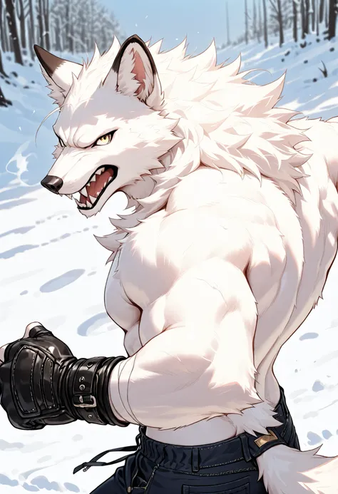 realistic, real shadow and light,depth of field, looking at the viewer, Athletic body, commission for high res, anthropomorphic, there is a White Fox, White fur, fluffy, furry, pointy nose, wearing black jeans, snowy, cold weather, freezing, close up, topl...