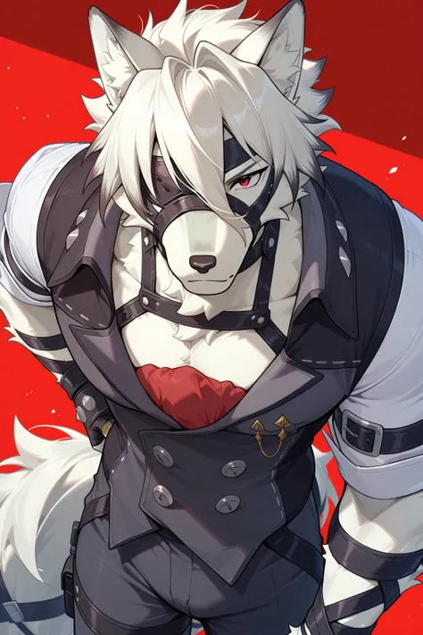 Von Lycan、Wolf、furry man、male focus、solo、white fur、white hair、Red Eyes、Eye patch、Standing in front of AE86