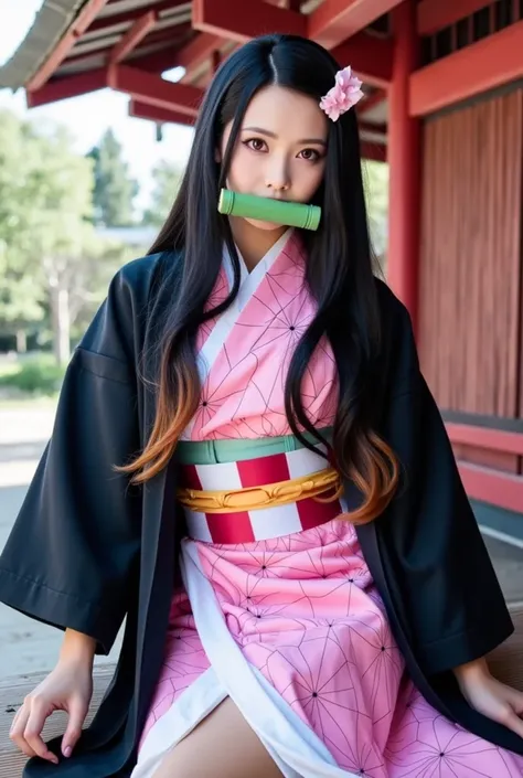 Nezuko 禰豆子 / Flux.1 D v1.0