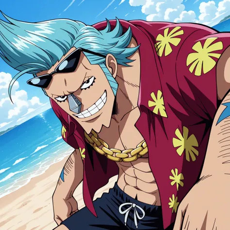 Franky(One Piece) Pre-Timeskip